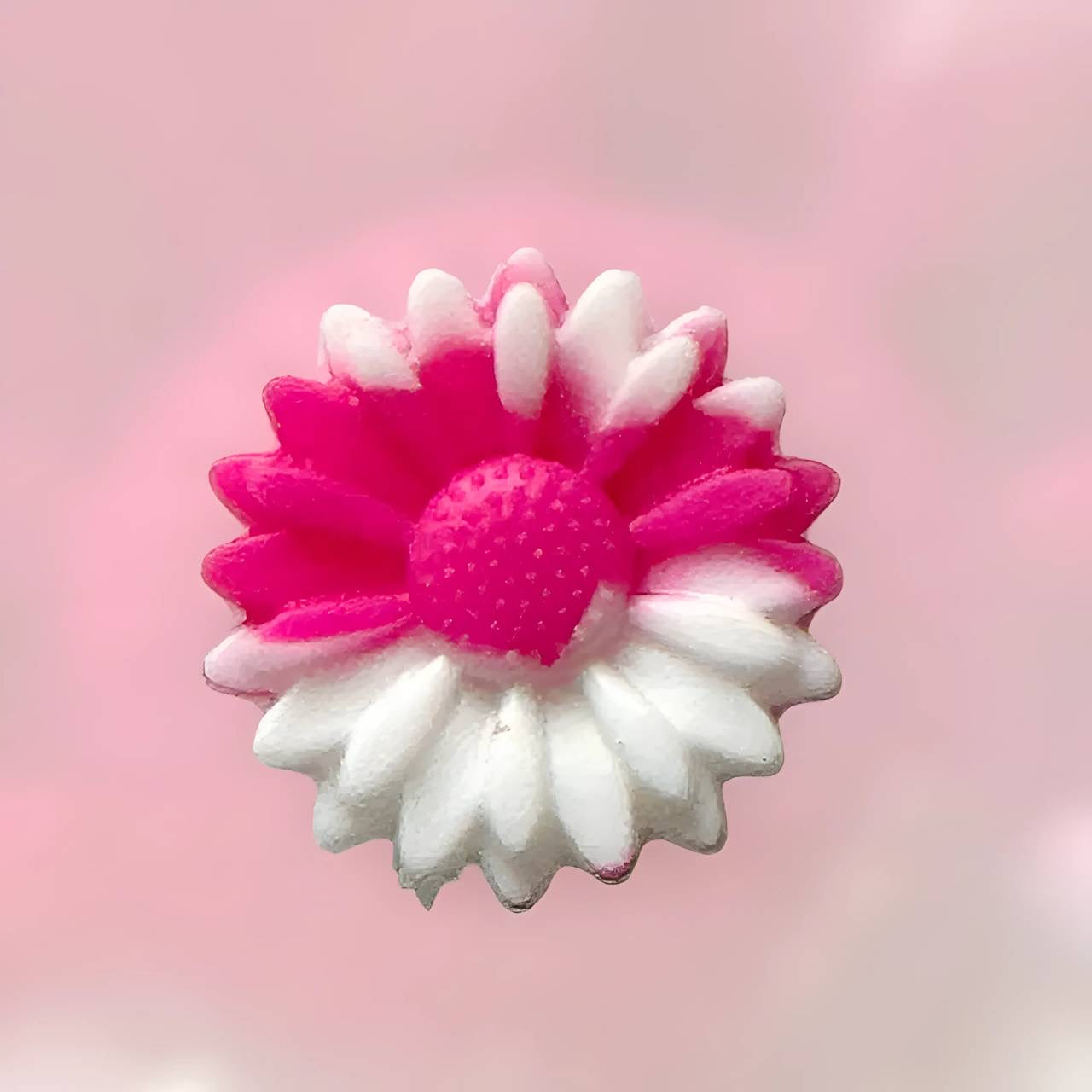 White & Pink Daisy 22mm Focal